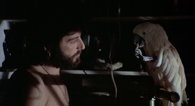 冲突剧照的剧照