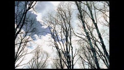 刺客侯孝贤剧照的剧照