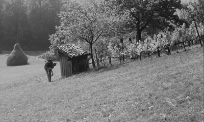 老人与小孩剧照的剧照