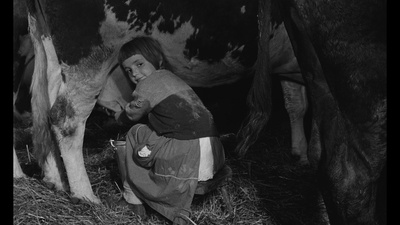 老人与小孩剧照的剧照