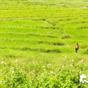 太阳的孩子剧照