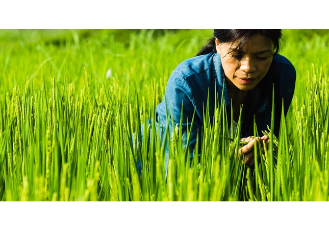 太阳的孩子剧照的剧照