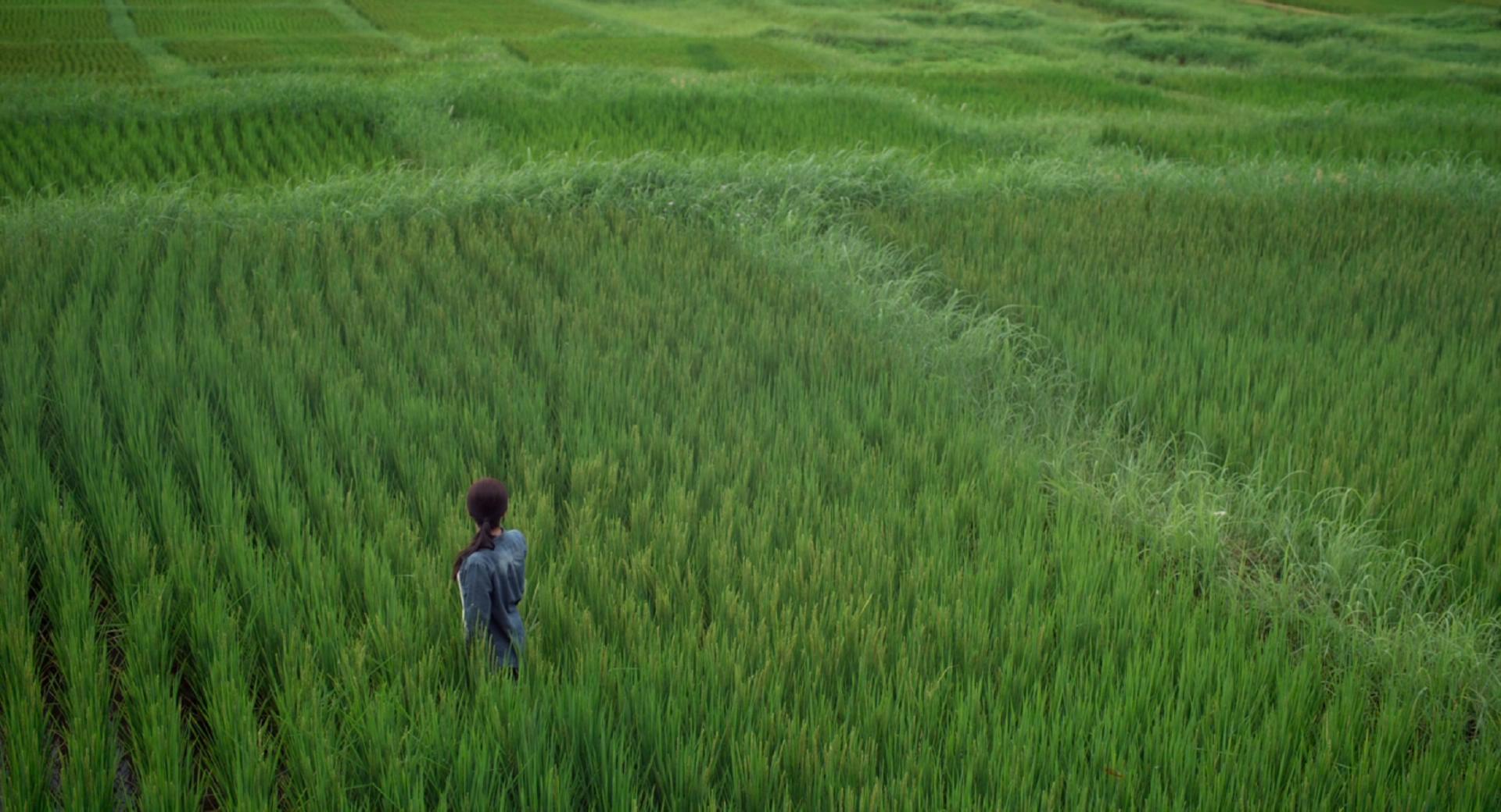 太阳的孩子剧照的剧照