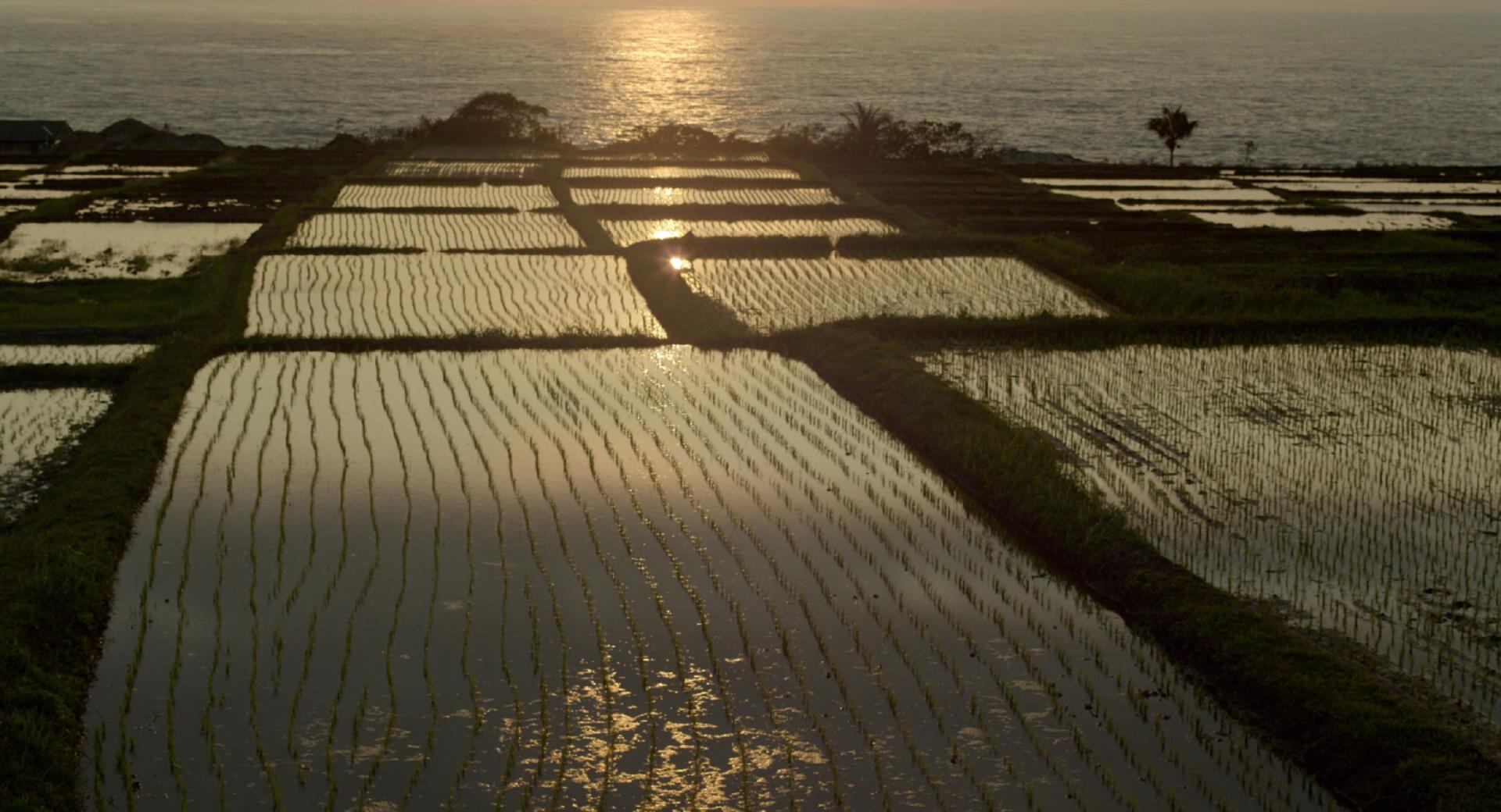 太阳的孩子剧照的剧照