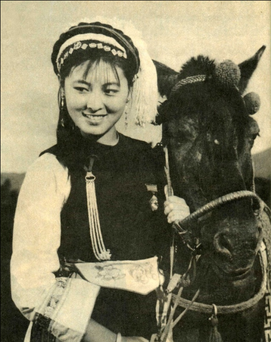 五朵金花剧照的剧照