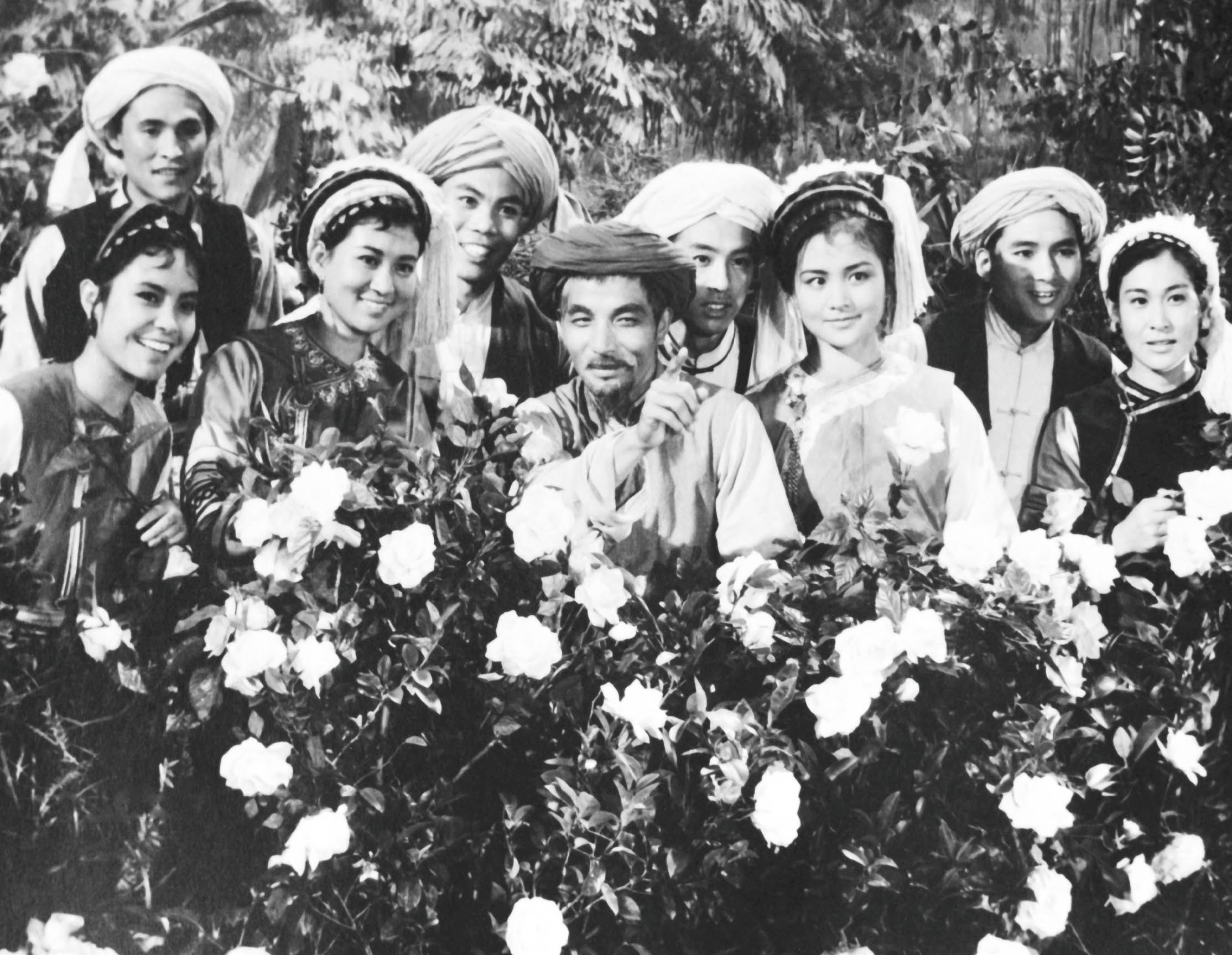 五朵金花剧照的剧照