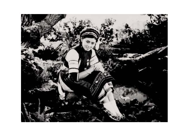 五朵金花剧照的剧照