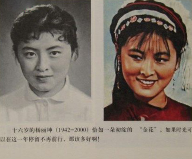 五朵金花剧照的剧照