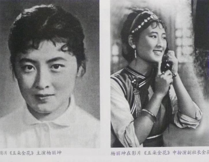 五朵金花剧照的剧照