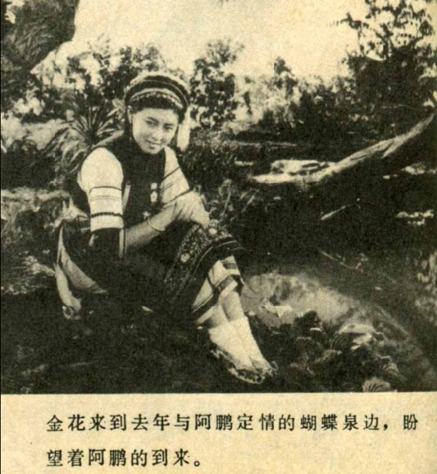 五朵金花剧照的剧照