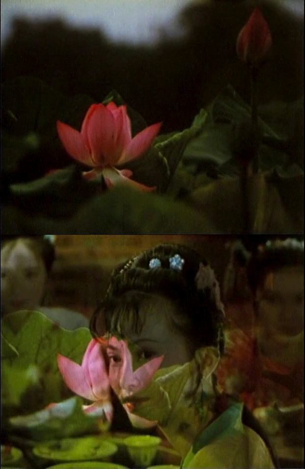 红楼梦剧照的剧照