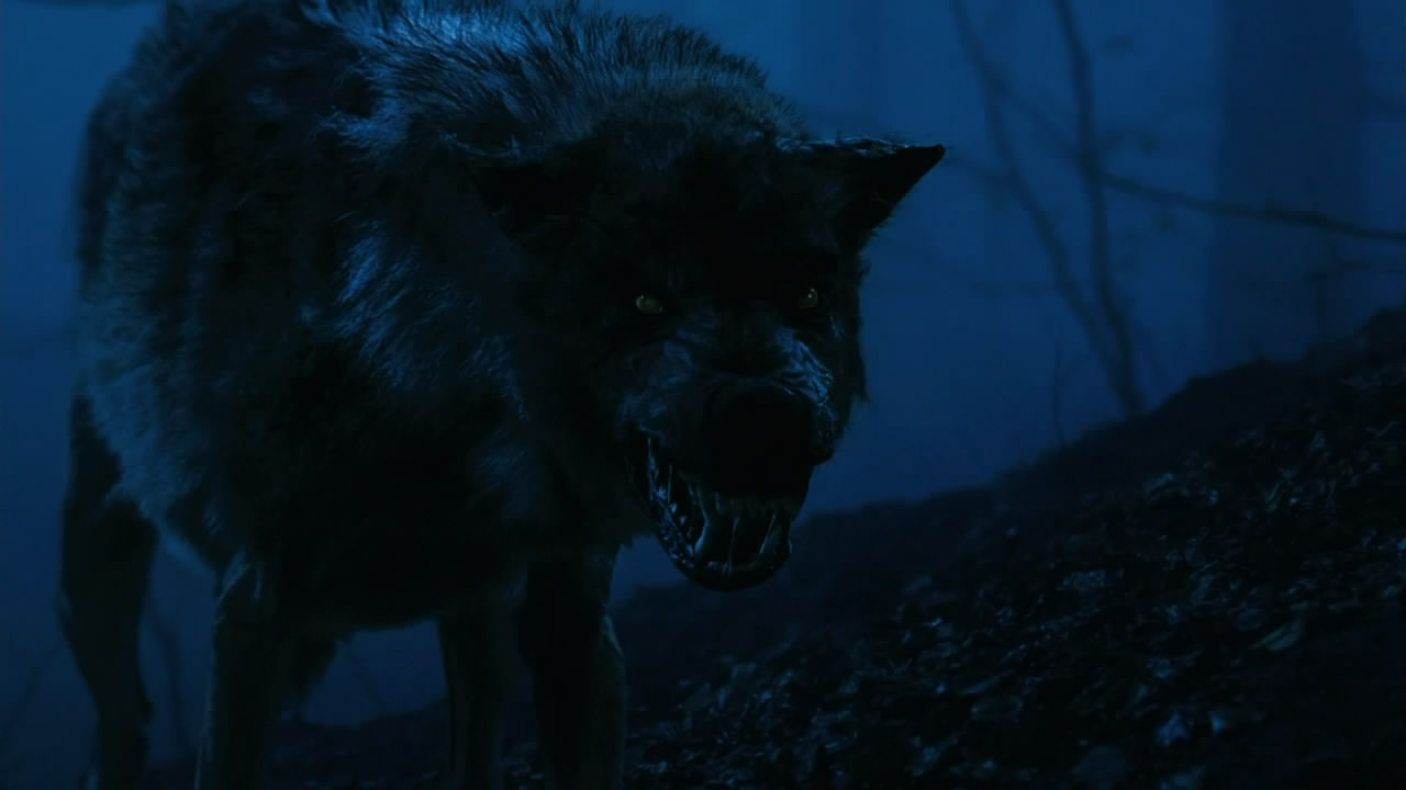 女巫季节剧照的剧照