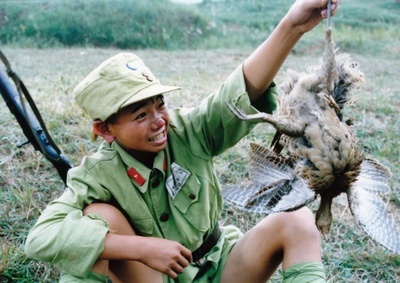 三毛从军记剧照的剧照