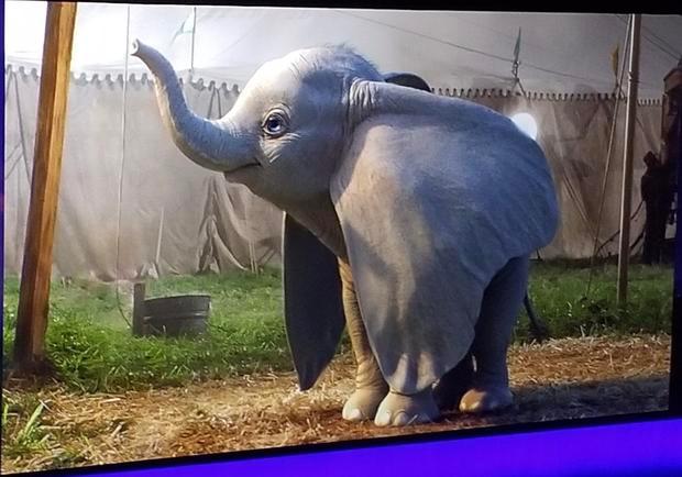 小飞象剧照的剧照