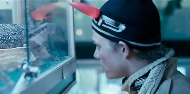 寒冬旅程剧照的剧照