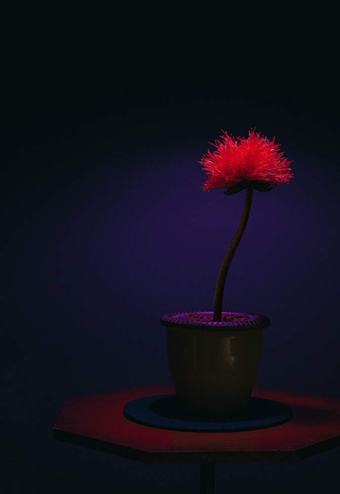 小小乔剧照的剧照