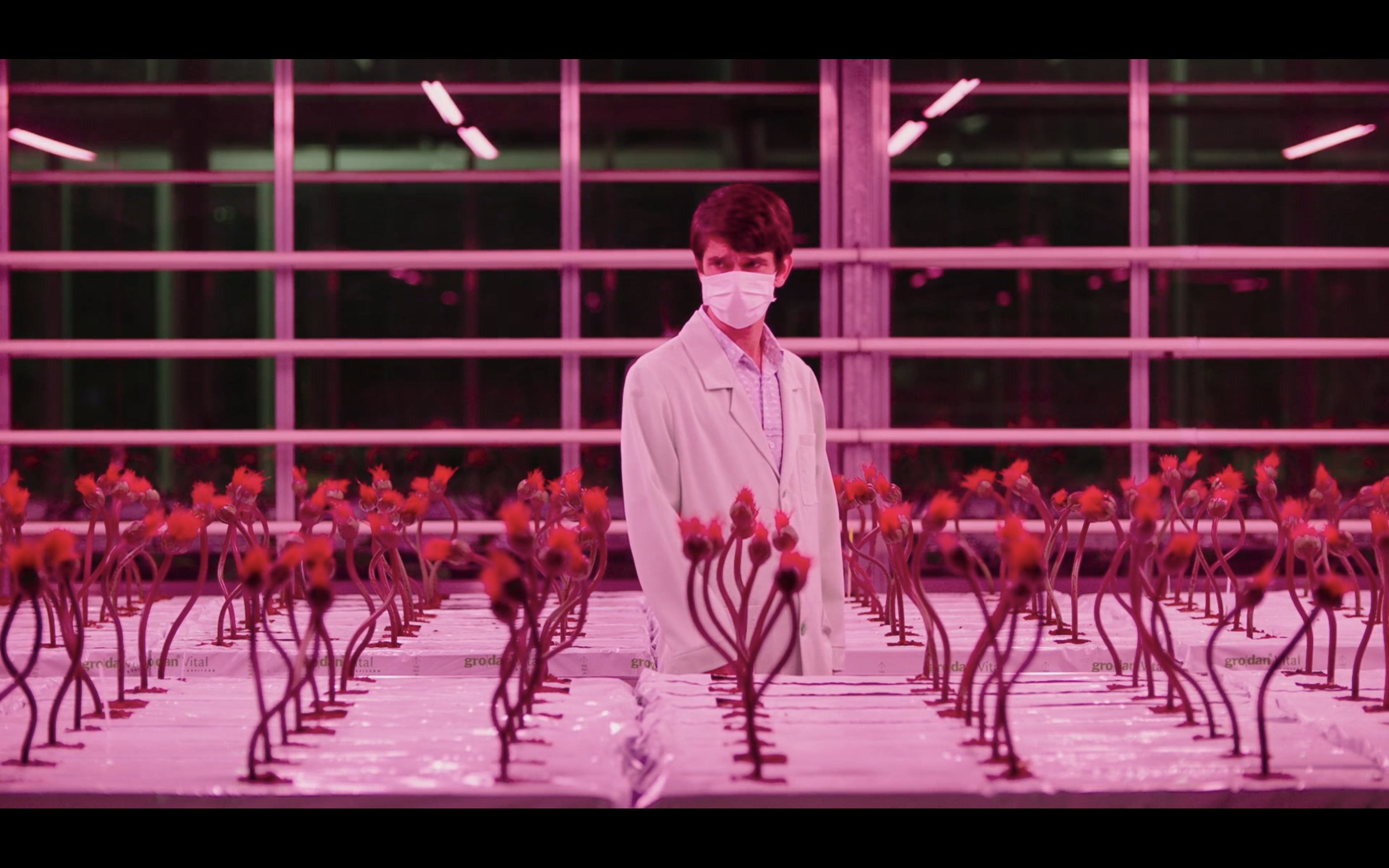 小小乔剧照的剧照