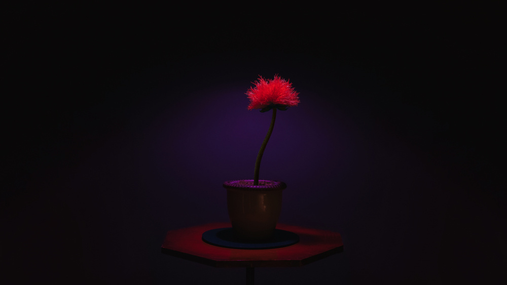 小小乔剧照的剧照