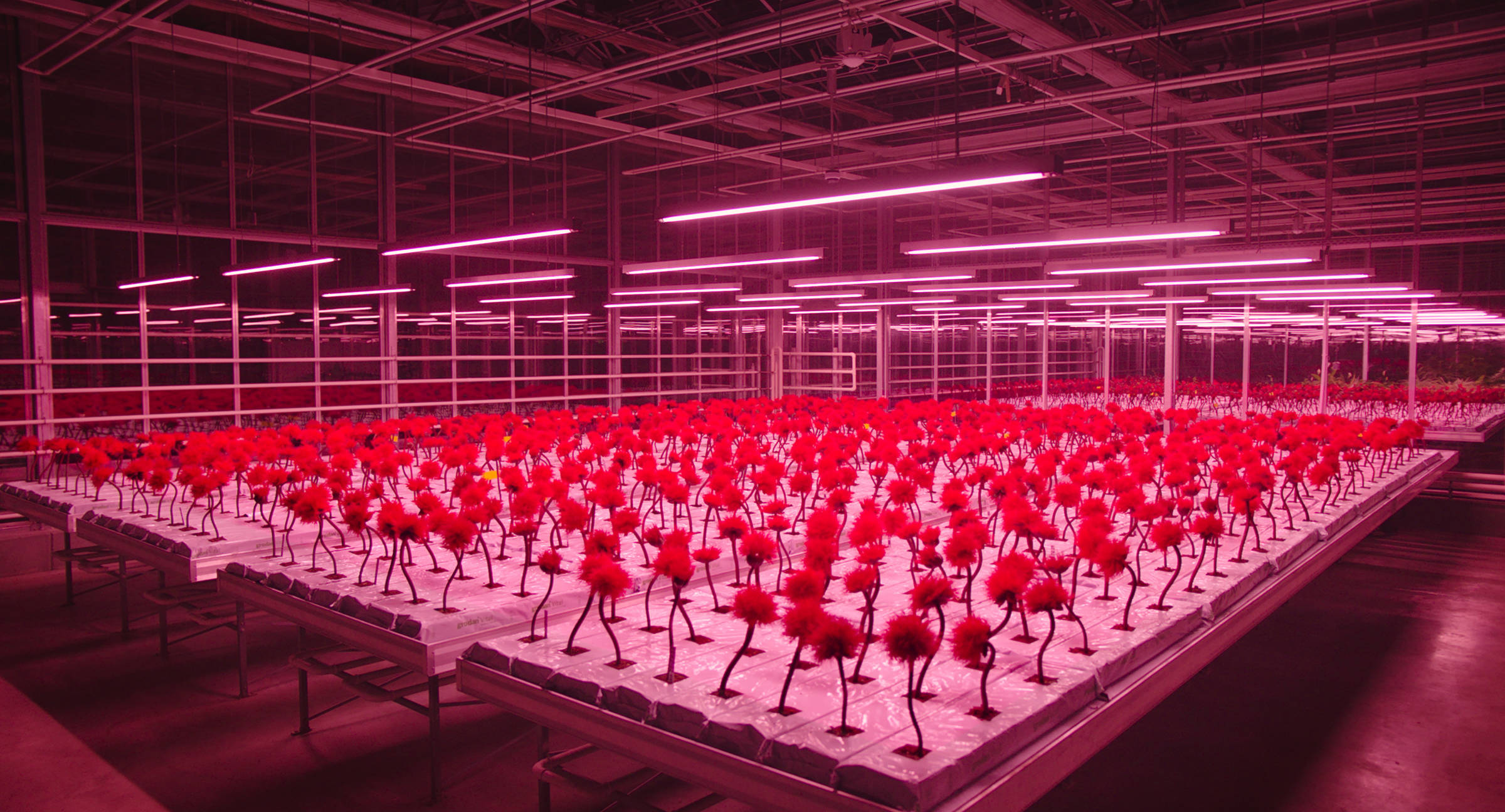 小小乔剧照的剧照