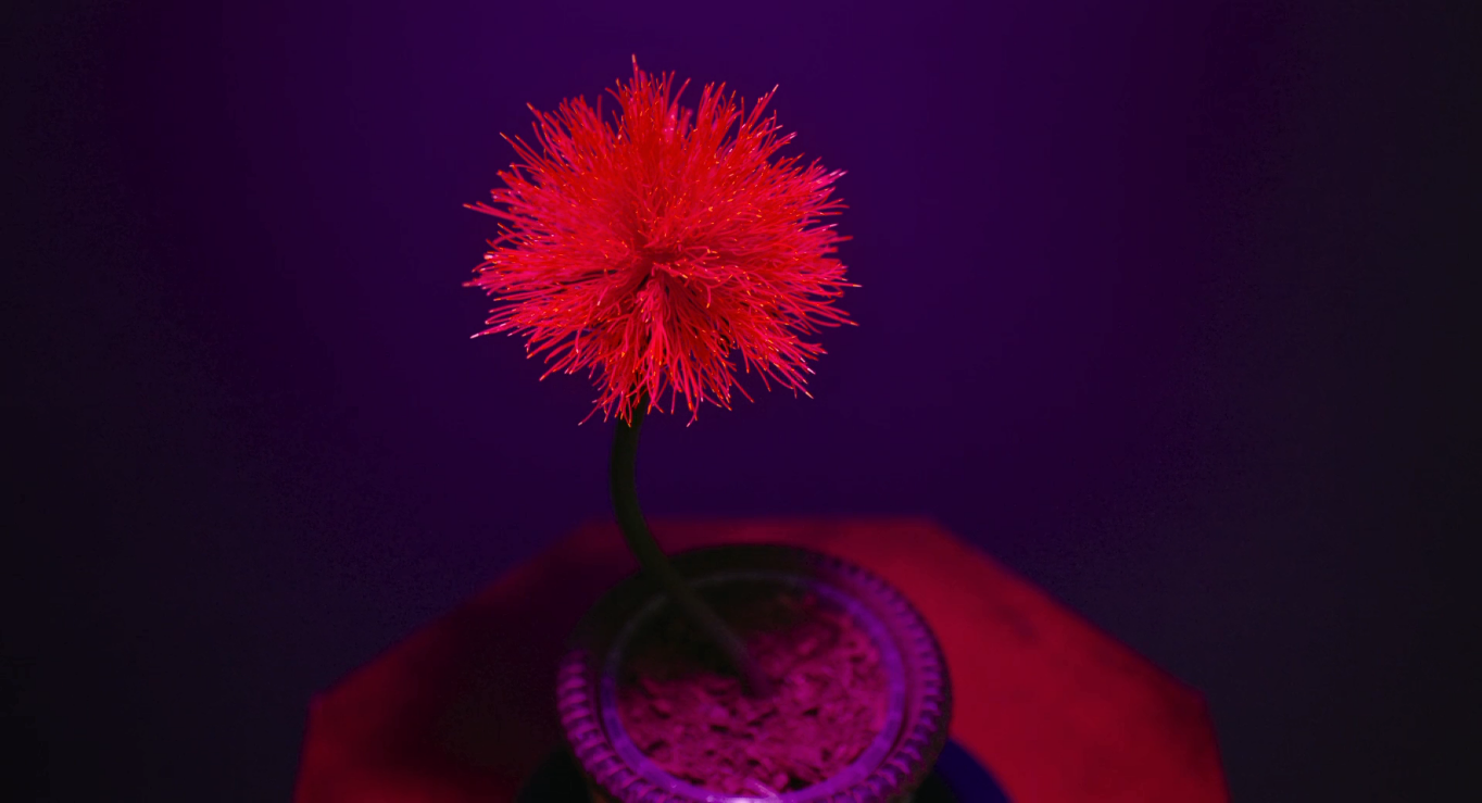 小小乔剧照的剧照