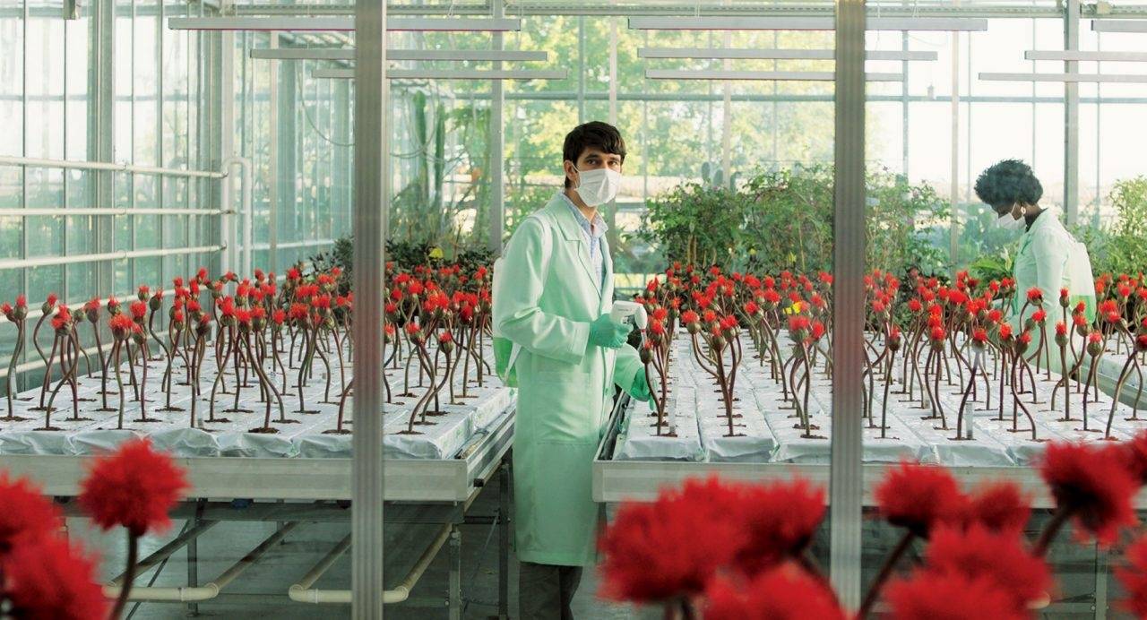 小小乔剧照的剧照