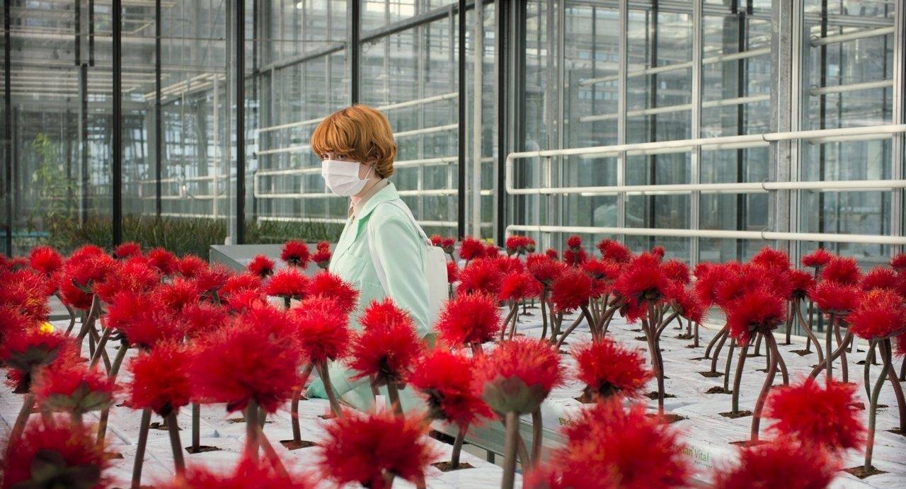 小小乔剧照的剧照