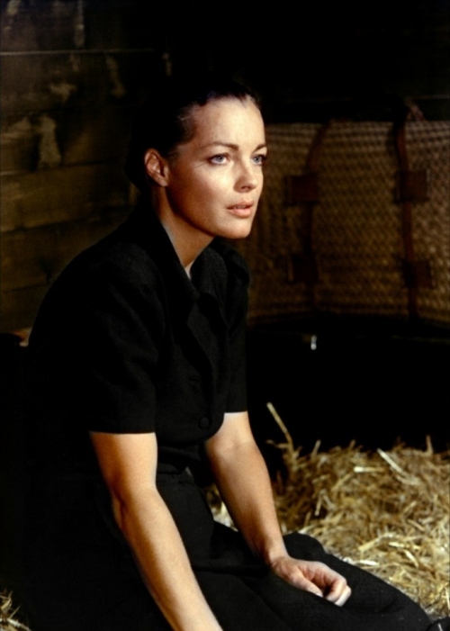 末班车剧照的剧照