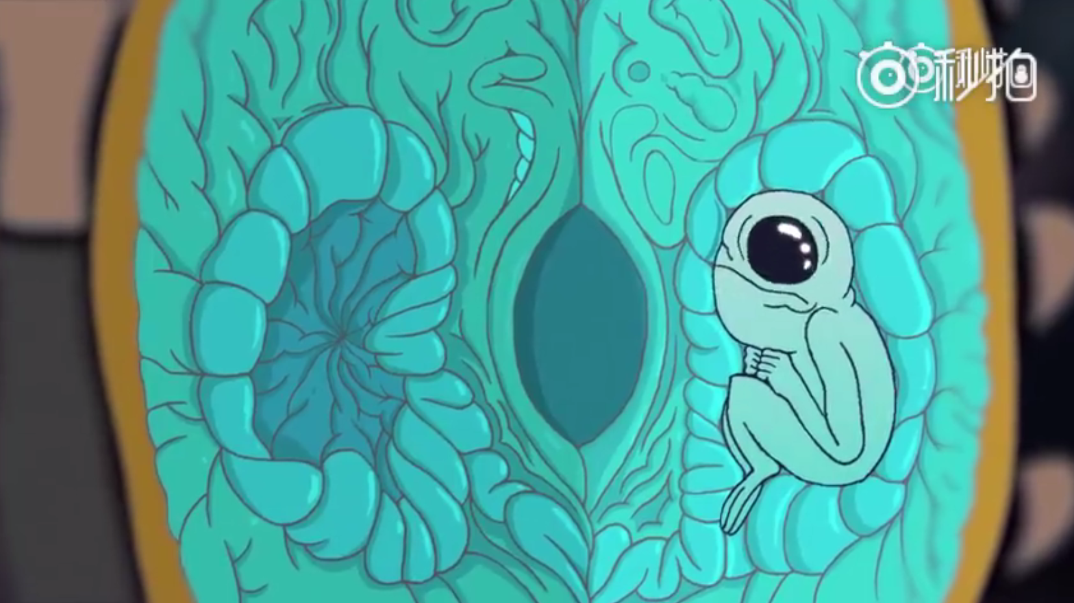 拾荒者剧照的剧照