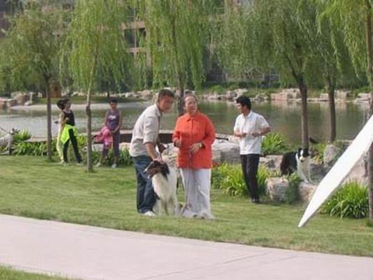 阿宝的故事剧照的剧照