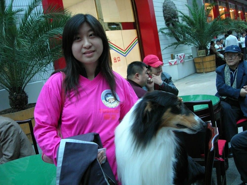 阿宝的故事剧照的剧照