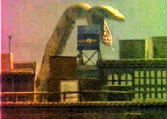 大蛇王剧照的剧照