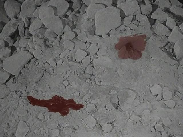 奥菲斯的遗嘱剧照的剧照