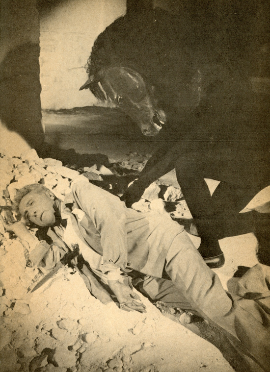 奥菲斯的遗嘱剧照的剧照