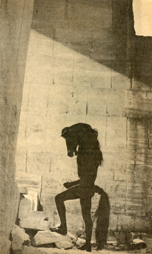 奥菲斯的遗嘱剧照的剧照