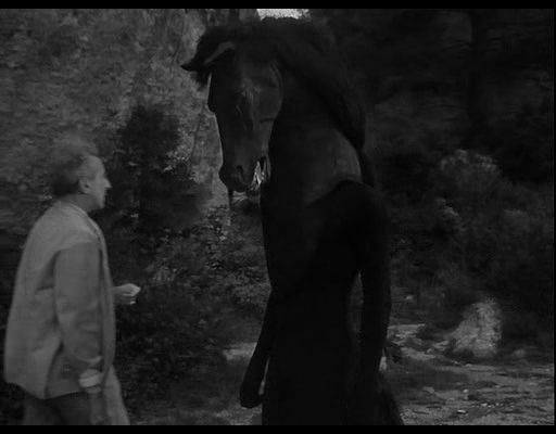 奥菲斯的遗嘱剧照的剧照