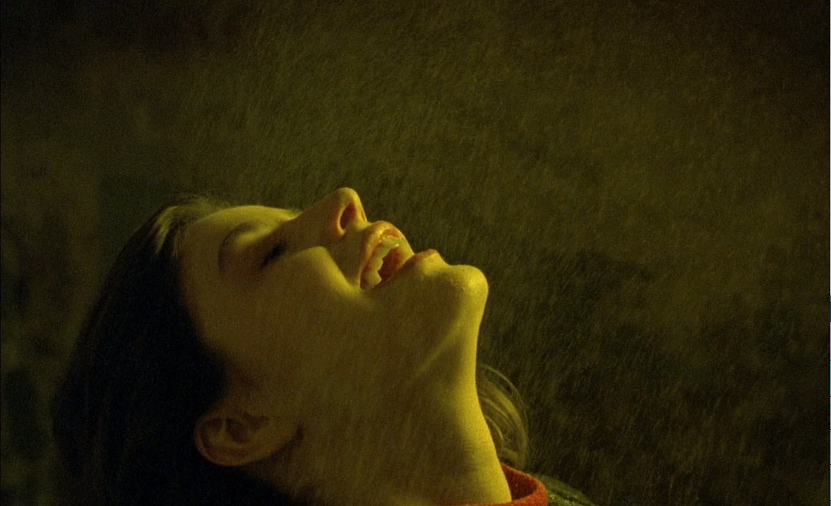 两生花剧照的剧照