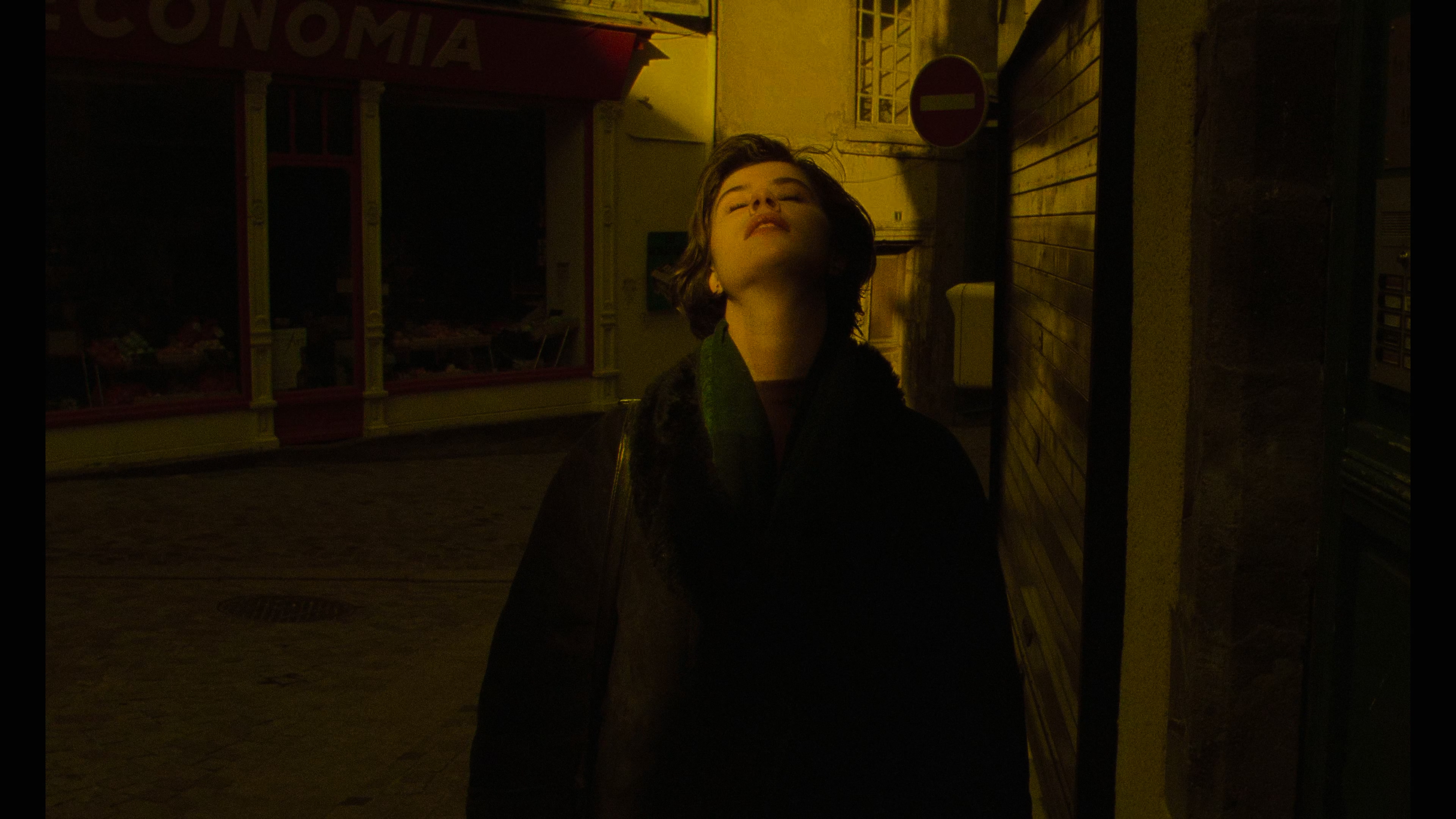 两生花剧照的剧照