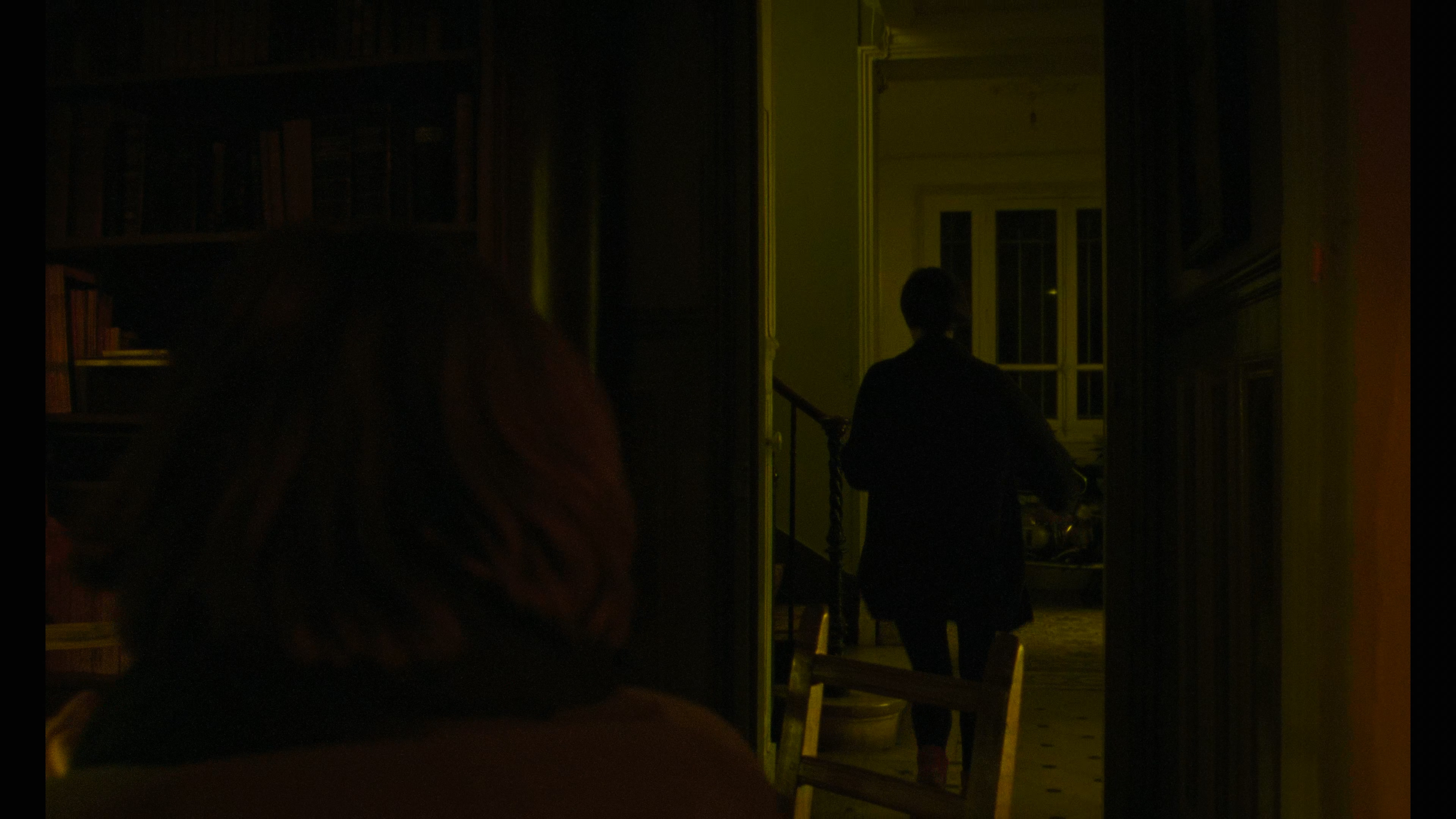 两生花剧照的剧照