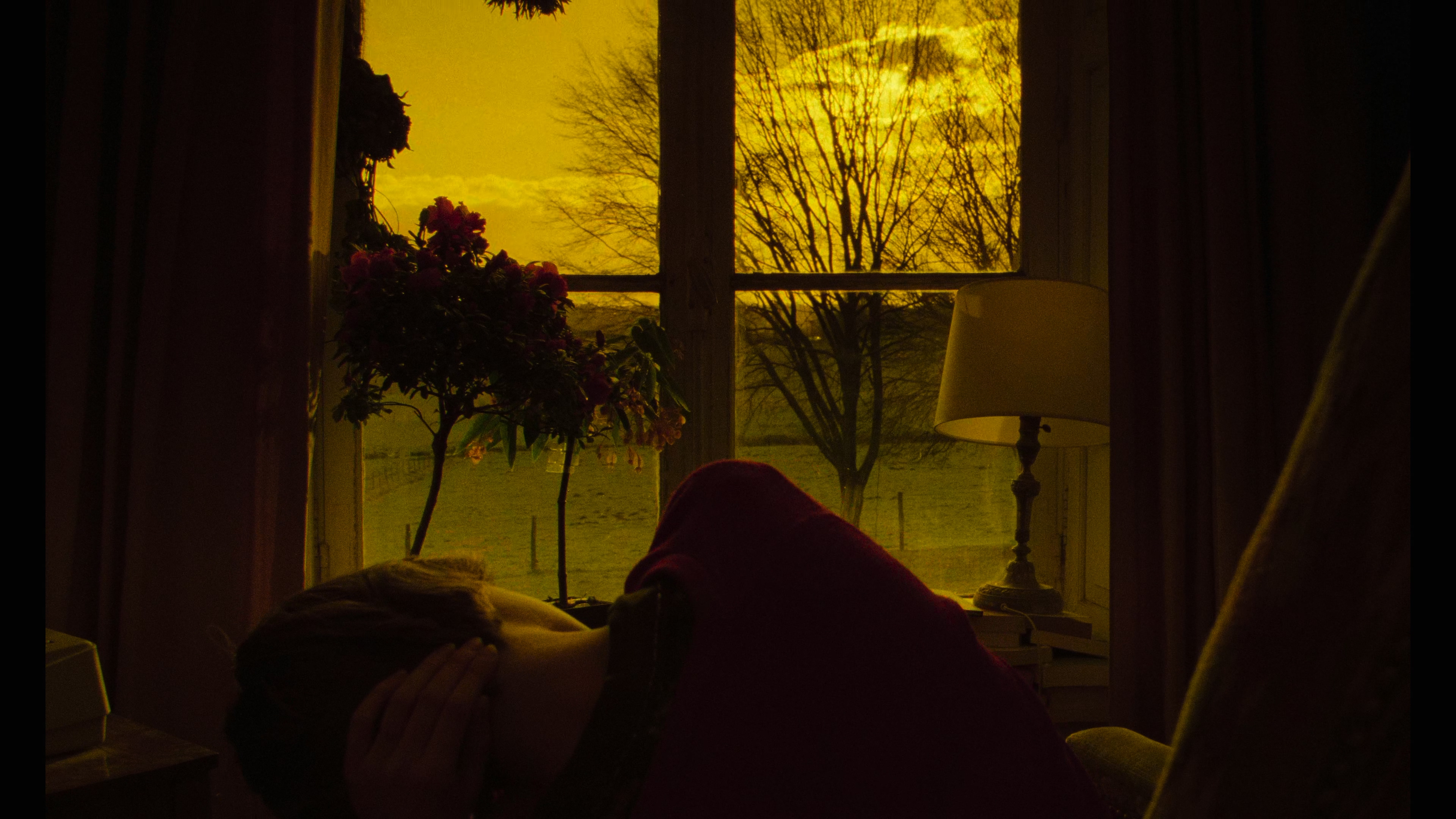 两生花剧照的剧照