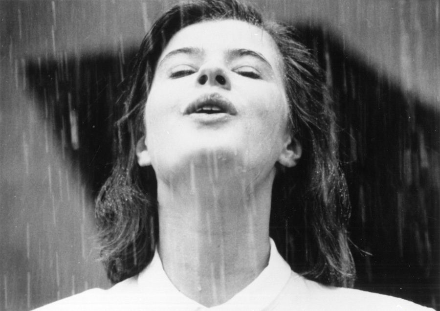 两生花剧照的剧照