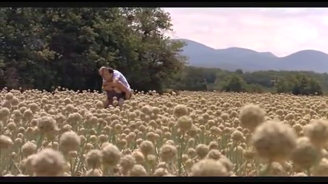 我生命中的男人剧照的剧照