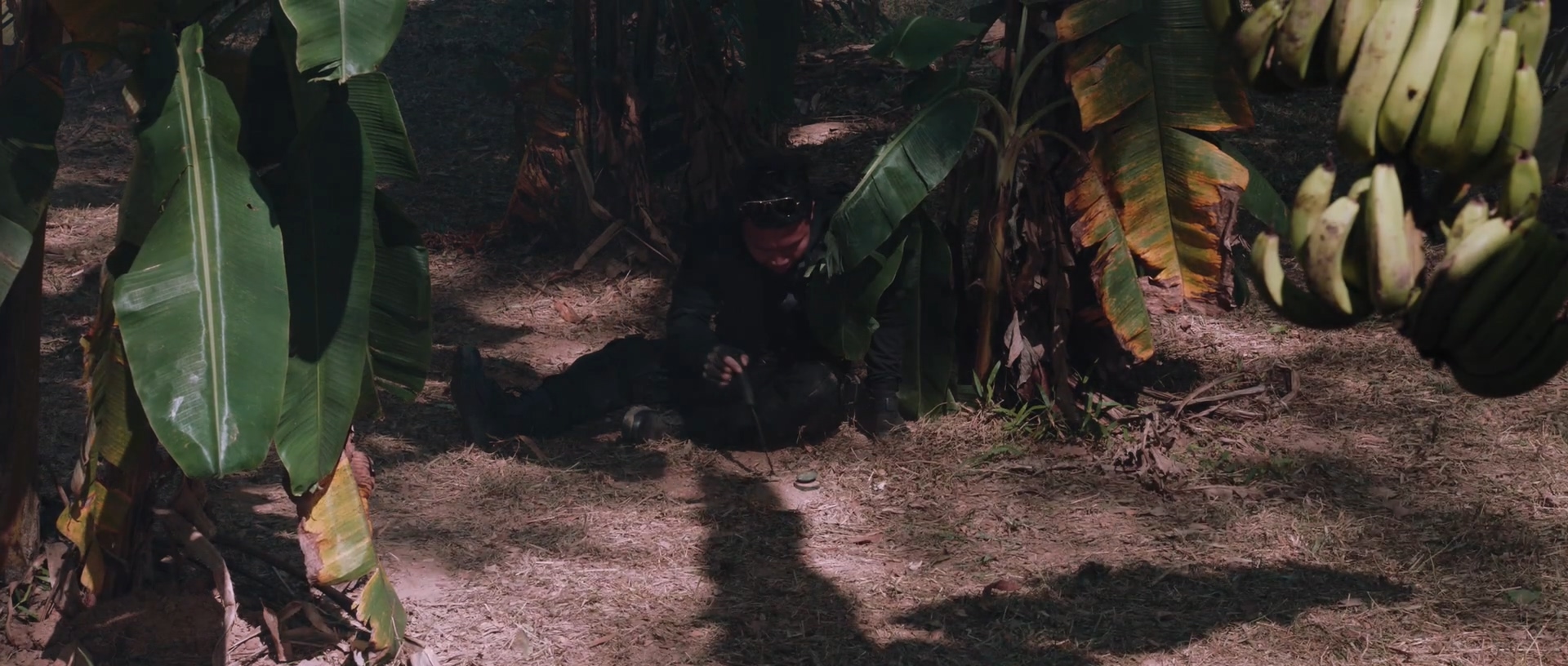 四平青年之喋血曼谷剧照的剧照