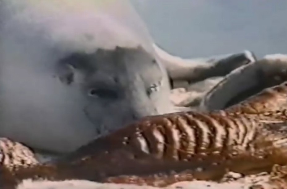 地球公民剧照的剧照