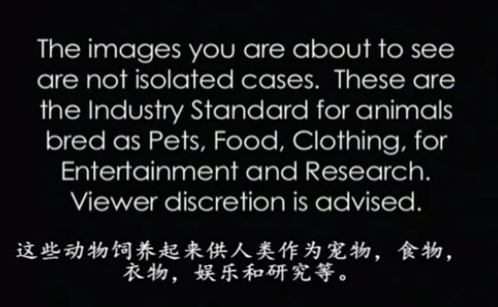 地球公民剧照的剧照