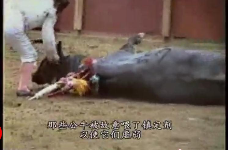 地球公民剧照的剧照