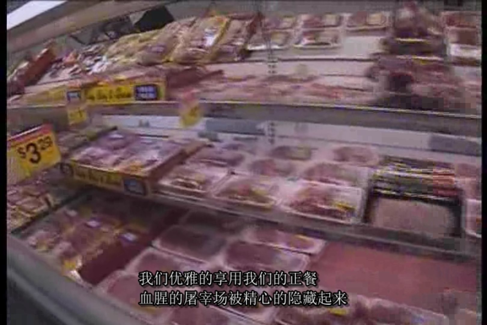 地球公民剧照的剧照