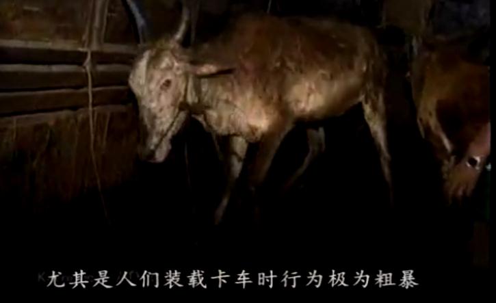 地球公民剧照的剧照