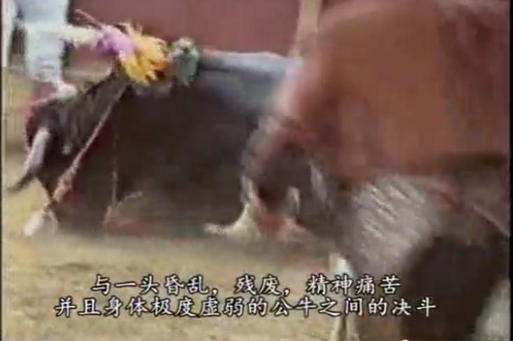 地球公民剧照的剧照