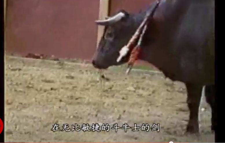 地球公民剧照的剧照