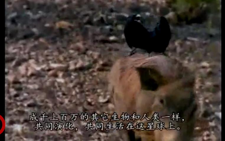 地球公民剧照的剧照